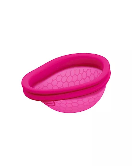 IMTIMINA Ziggy Cup 2 - B