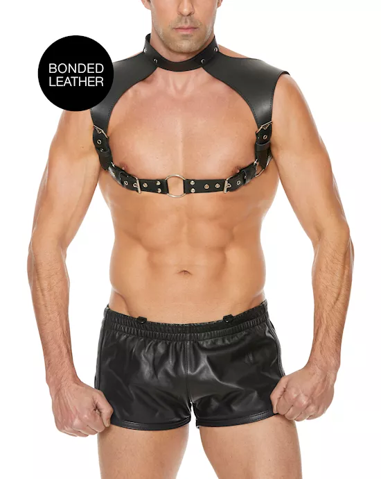 Men's Harness with Neck Collar