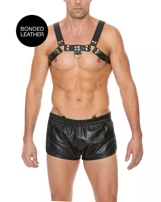 Chest Bulldog Harness