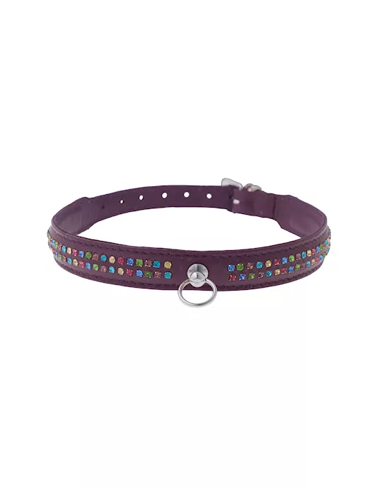 Bound X Purple Collar With Rainbow Rhinestones - Two Rows