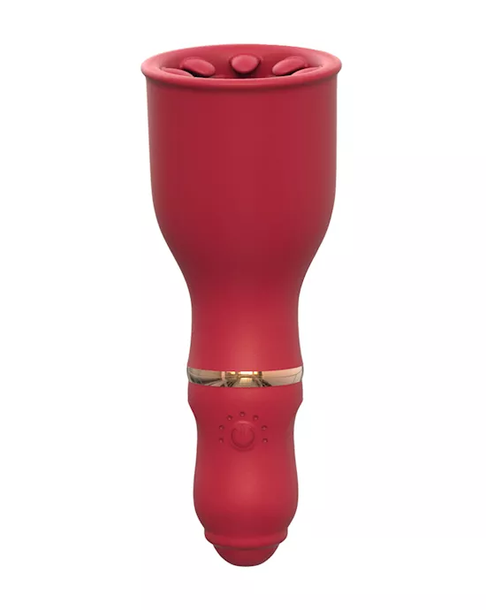 Amore Portal Multipurpose Vibrator