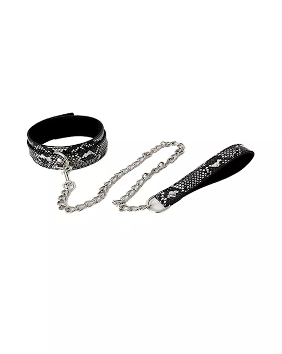 Share Satisfaction Snake-print Collar With Leash