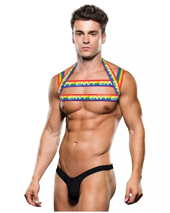 Envy Rainbow Harness Lxl Bx
