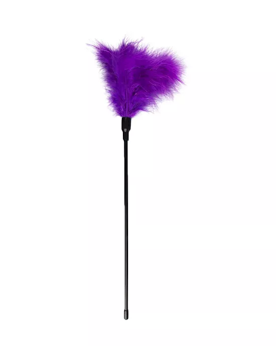 EasyToys Long Feather Tickler