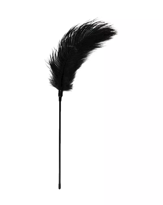 Easytoys Feather Tickler