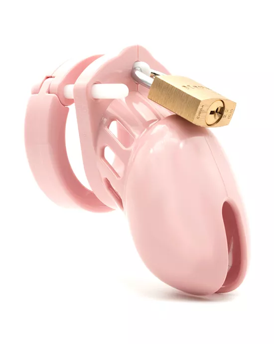 CB-6000S 2.5 Inch Chastity Cock Cage Kit