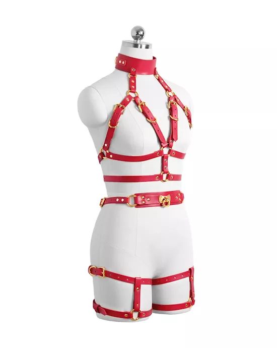 Chyna Modern Straight-jacket Slim Fit