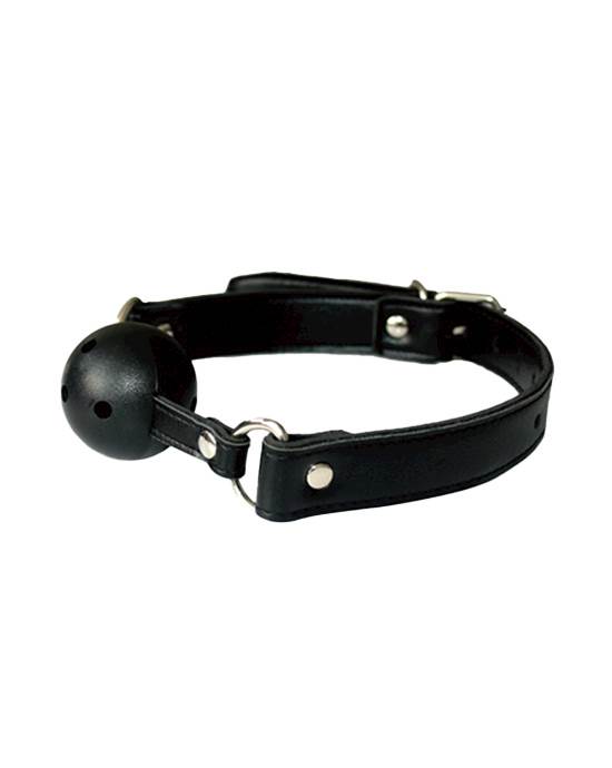 Discipline Ball Gag