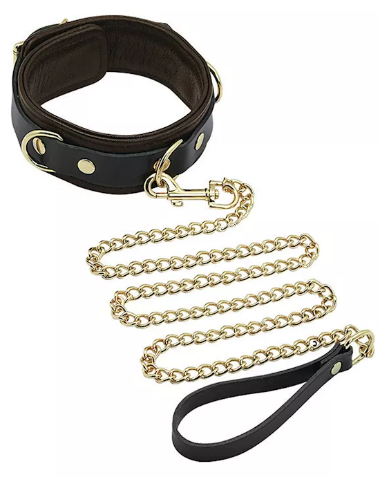 Spartacus Collar & Leash - Brown Leather w/Gold Accent Hardware