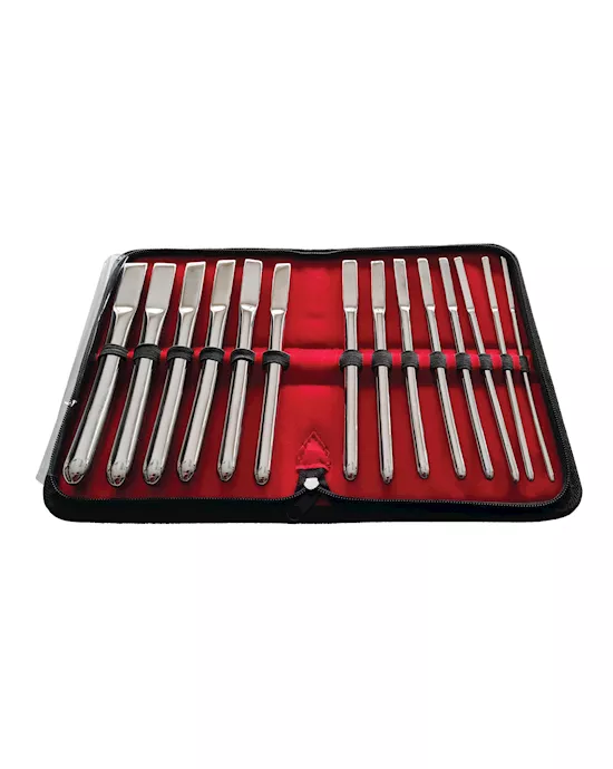 Rouge Stainless Steel Hegar Uterine Dilator Set - Set of 14