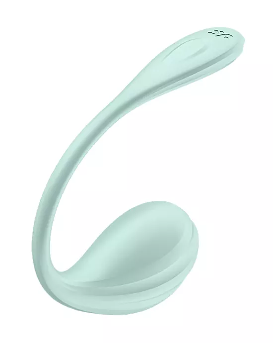 Satisfyer Smooth Petal Connect App