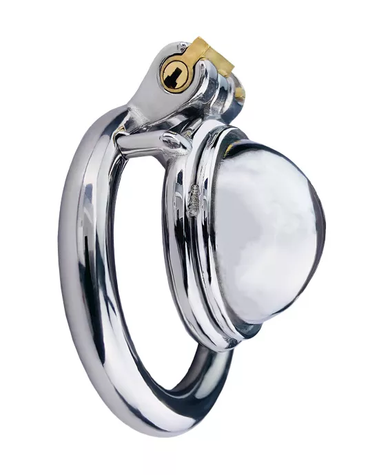 Concealed Chastity Cage