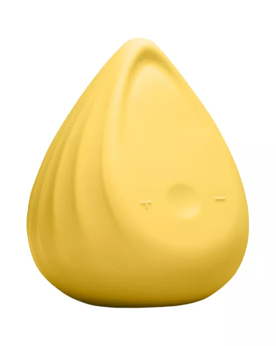 Evii Vibrator