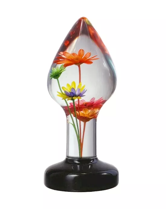 Helichrysum Anal Plug