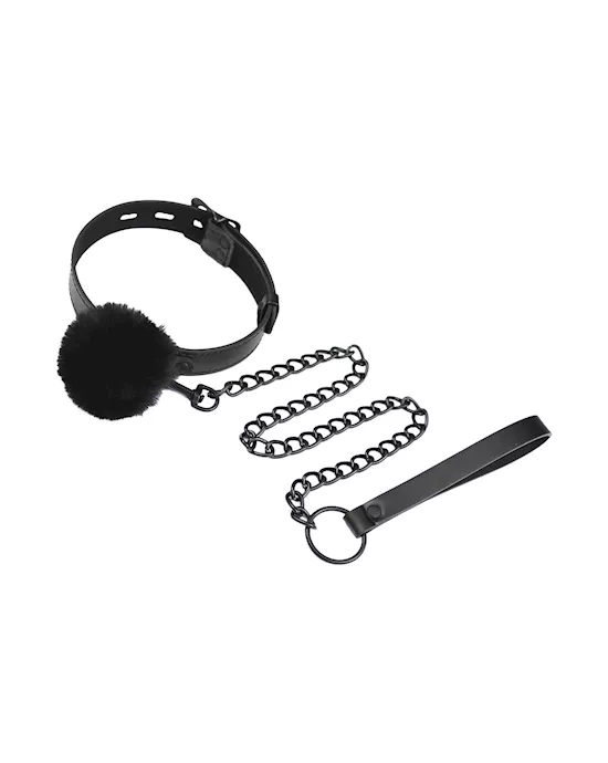 Tether Collar And Leash