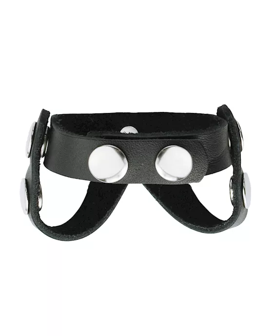 Cock Ring and Ball Divider