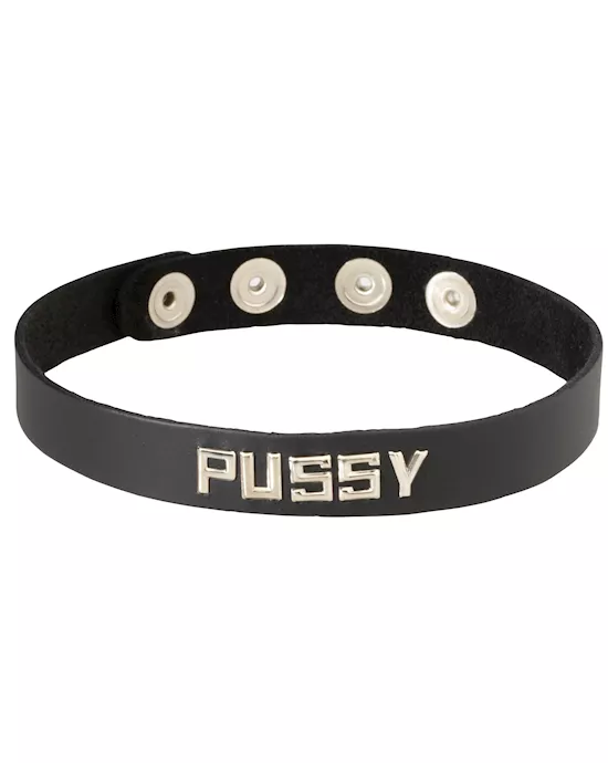 LEATHER COLLAR PUSSY