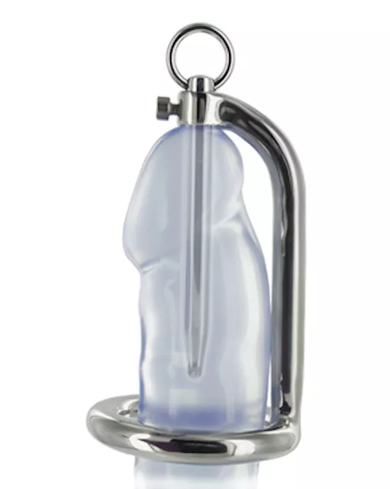 Stainless Steel Cock Ring and Urethral Plug