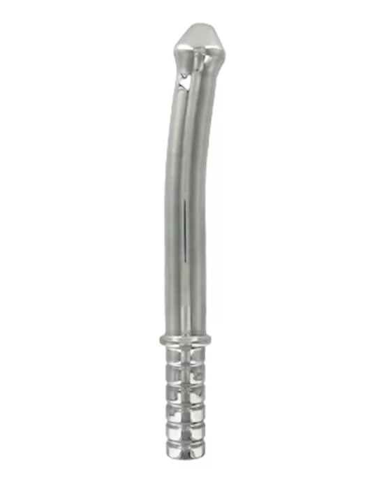 Stainless Steel Phallic Baton