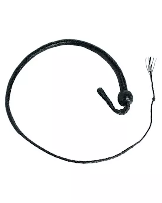 3 Foot Snakewhip 12 Plait