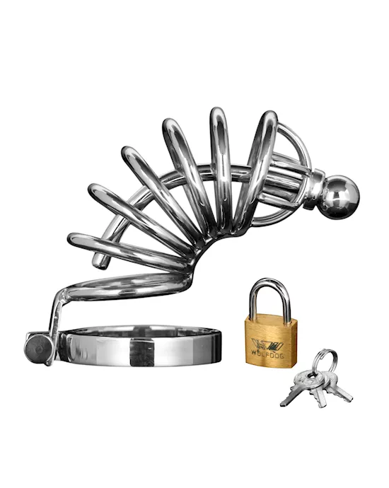 Asylum 6 Ring Locking Chastity Cage