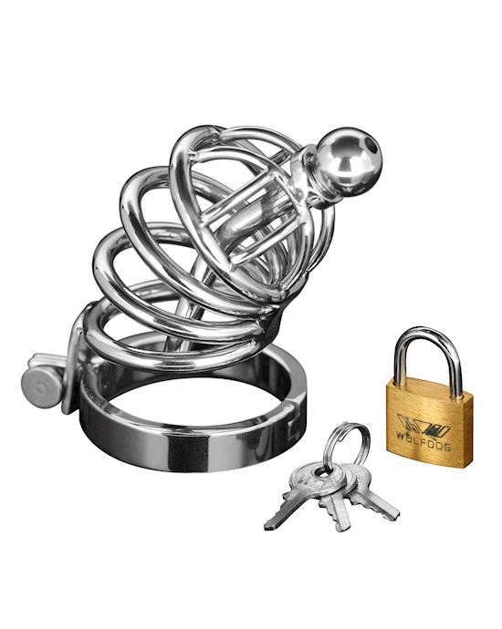 Asylum 4 Ring Locking Chastity Cage