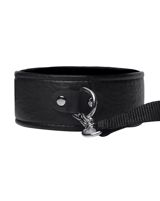 Frisky Beginner Leash and Collar set