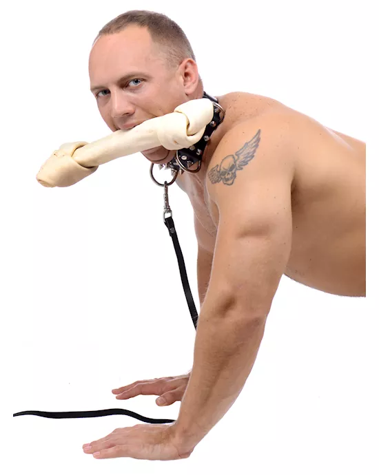 Bad Dog Leash and Spiked Collar Kit