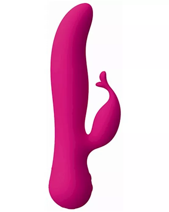 The Kissing Swan