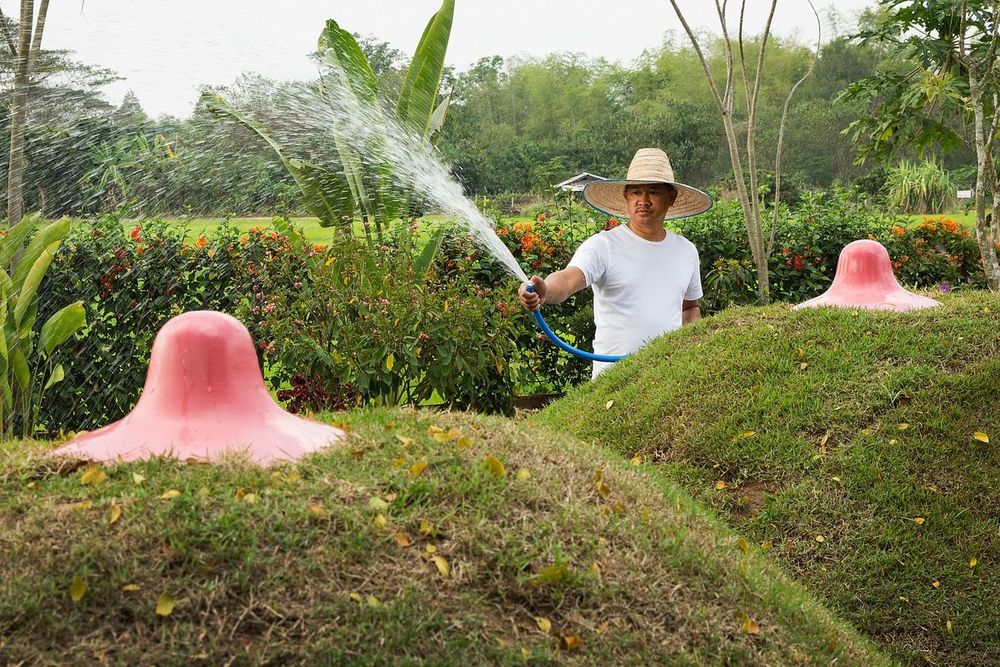 Erotic Garden Erected in Southeast Asia