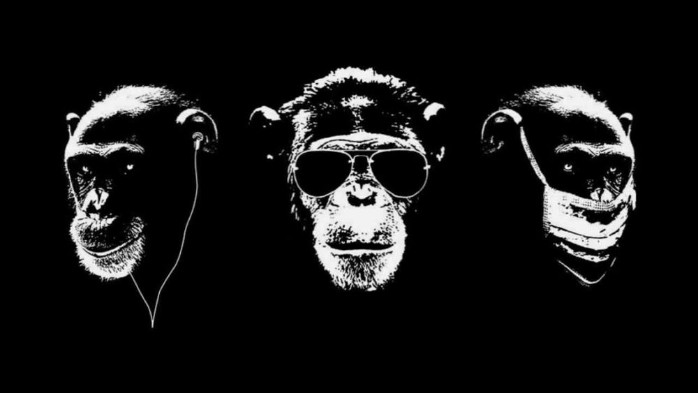 large_3-wise-monkeys.jpg