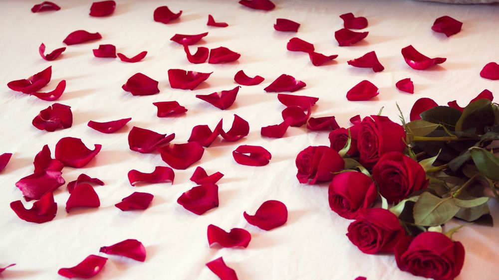 large_Romantic_bed.jpg