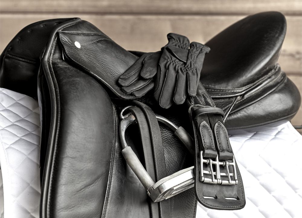 What is it like to ride a sex toy? 