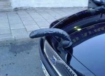 thumbnail_2044_dildo-on-bonnet.jpg